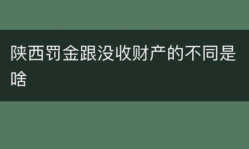 陕西罚金跟没收财产的不同是啥