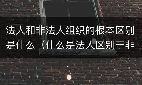 法人和非法人组织的根本区别是什么（什么是法人区别于非法人组织的根本之处）