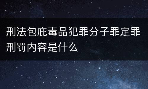 刑法包庇毒品犯罪分子罪定罪刑罚内容是什么