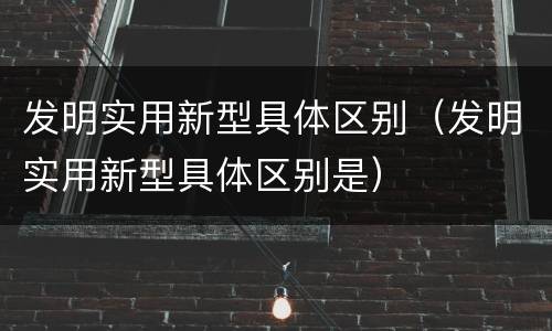 发明实用新型具体区别（发明实用新型具体区别是）