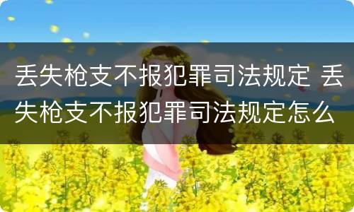 丢失枪支不报犯罪司法规定 丢失枪支不报犯罪司法规定怎么处理