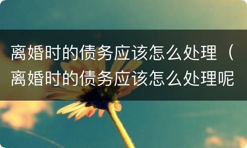 离婚时的债务应该怎么处理（离婚时的债务应该怎么处理呢）