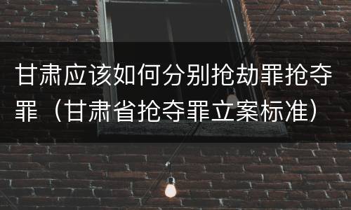 甘肃应该如何分别抢劫罪抢夺罪（甘肃省抢夺罪立案标准）