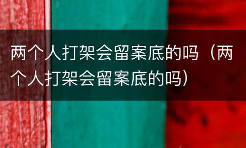 两个人打架会留案底的吗（两个人打架会留案底的吗）