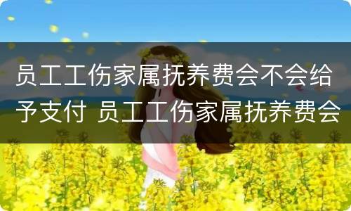 员工工伤家属抚养费会不会给予支付 员工工伤家属抚养费会不会给予支付工资