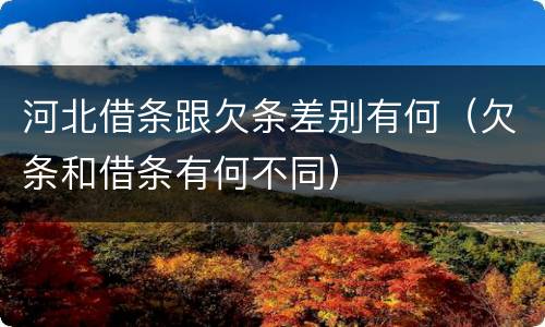 河北借条跟欠条差别有何（欠条和借条有何不同）