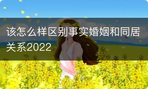 该怎么样区别事实婚姻和同居关系2022