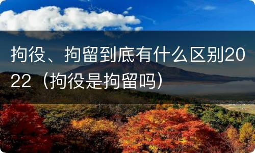 拘役、拘留到底有什么区别2022（拘役是拘留吗）
