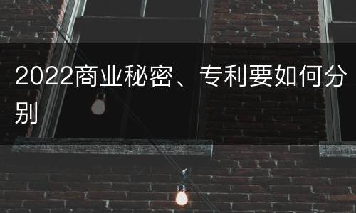 2022商业秘密、专利要如何分别