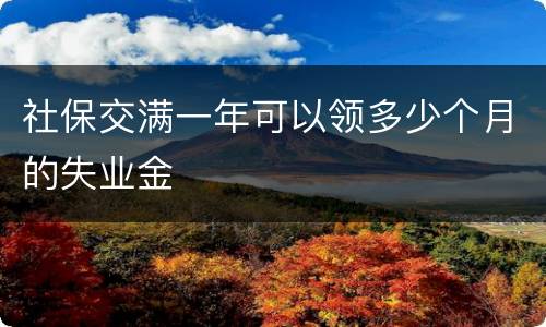 社保交满一年可以领多少个月的失业金