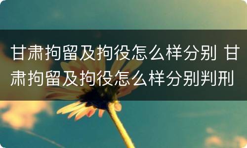 甘肃拘留及拘役怎么样分别 甘肃拘留及拘役怎么样分别判刑