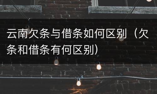 云南欠条与借条如何区别（欠条和借条有何区别）