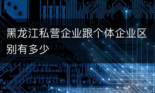 黑龙江私营企业跟个体企业区别有多少