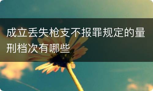 成立丢失枪支不报罪规定的量刑档次有哪些