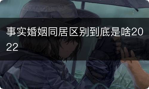 事实婚姻同居区别到底是啥2022