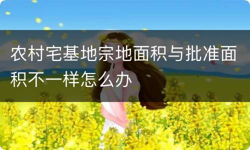 农村宅基地宗地面积与批准面积不一样怎么办