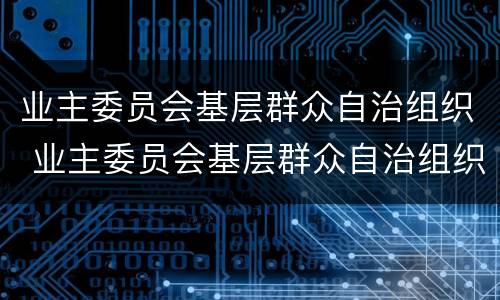 业主委员会基层群众自治组织 业主委员会基层群众自治组织工作