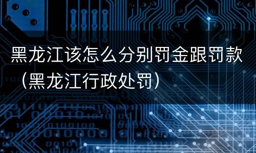 黑龙江该怎么分别罚金跟罚款（黑龙江行政处罚）