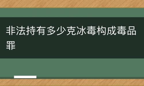 非法持有多少克冰毒构成毒品罪