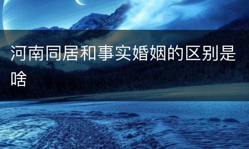 河南同居和事实婚姻的区别是啥