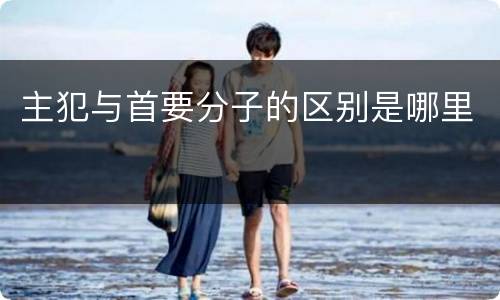 主犯与首要分子的区别是哪里