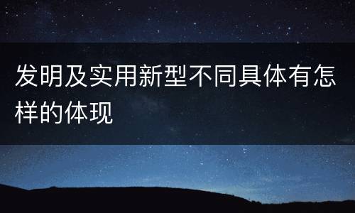 发明及实用新型不同具体有怎样的体现