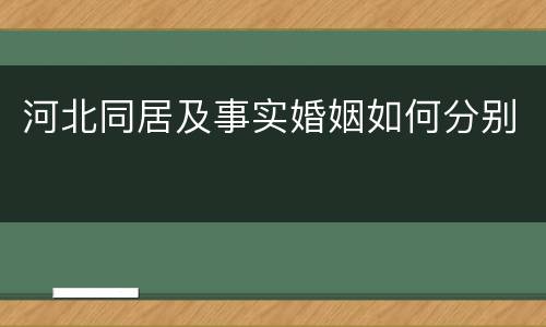 河北同居及事实婚姻如何分别
