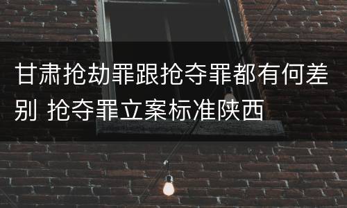 甘肃抢劫罪跟抢夺罪都有何差别 抢夺罪立案标准陕西