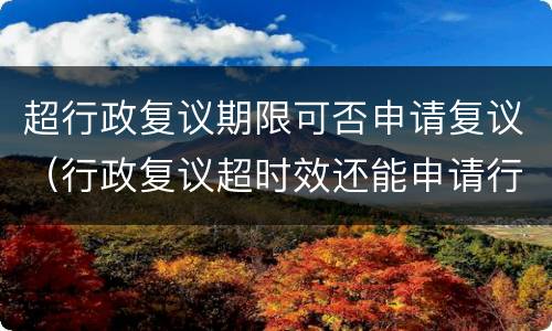超行政复议期限可否申请复议（行政复议超时效还能申请行政复议吗）