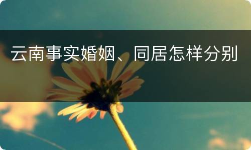 云南事实婚姻、同居怎样分别