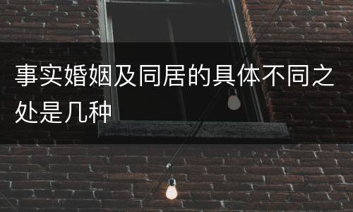 事实婚姻及同居的具体不同之处是几种