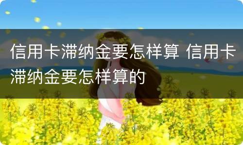 信用卡滞纳金要怎样算 信用卡滞纳金要怎样算的