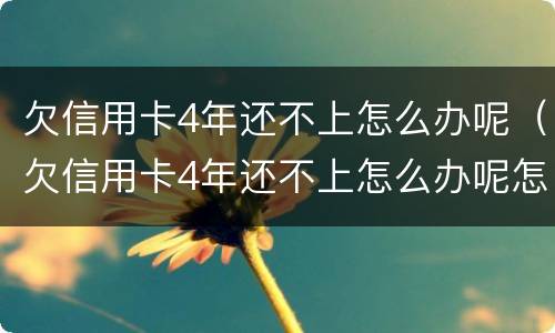 欠信用卡4年还不上怎么办呢（欠信用卡4年还不上怎么办呢怎么解决）