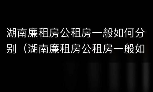 湖南廉租房公租房一般如何分别（湖南廉租房公租房一般如何分别租）