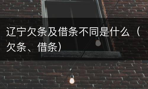 辽宁欠条及借条不同是什么（欠条、借条）