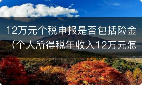 12万元个税申报是否包括险金（个人所得税年收入12万元怎么申报）