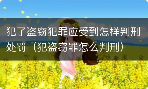 犯了盗窃犯罪应受到怎样判刑处罚（犯盗窃罪怎么判刑）