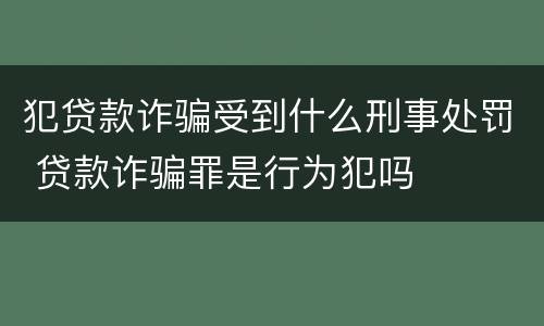 犯贷款诈骗受到什么刑事处罚 贷款诈骗罪是行为犯吗