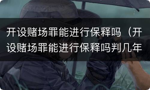 开设赌场罪能进行保释吗（开设赌场罪能进行保释吗判几年）