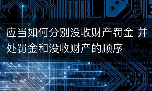 应当如何分别没收财产罚金 并处罚金和没收财产的顺序