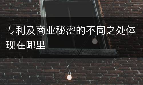 专利及商业秘密的不同之处体现在哪里