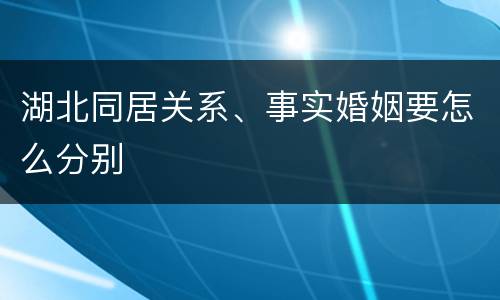 湖北同居关系、事实婚姻要怎么分别