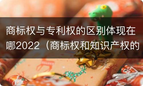 商标权与专利权的区别体现在哪2022（商标权和知识产权的区别）
