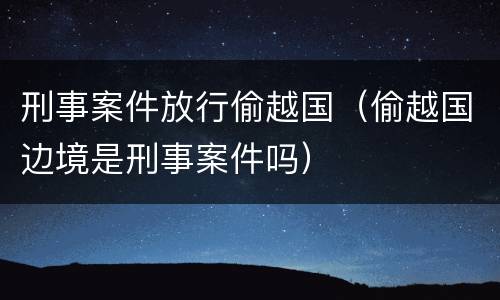 刑事案件放行偷越国（偷越国边境是刑事案件吗）