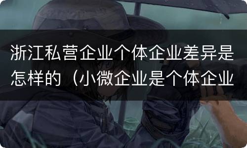 浙江私营企业个体企业差异是怎样的（小微企业是个体企业还是私营企业）