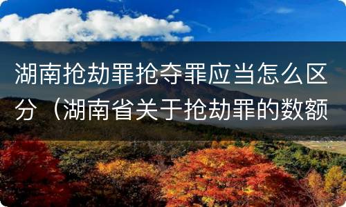 湖南抢劫罪抢夺罪应当怎么区分（湖南省关于抢劫罪的数额规定）