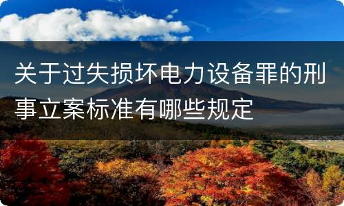 关于过失损坏电力设备罪的刑事立案标准有哪些规定