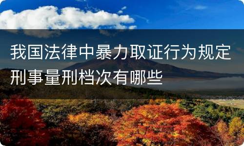 我国法律中暴力取证行为规定刑事量刑档次有哪些