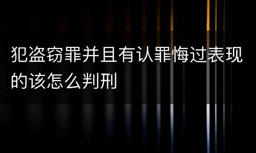 犯盗窃罪并且有认罪悔过表现的该怎么判刑
