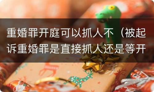 重婚罪开庭可以抓人不（被起诉重婚罪是直接抓人还是等开庭）